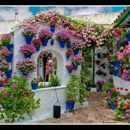Aries Apartment *