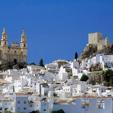 Apartment Aries Marbella